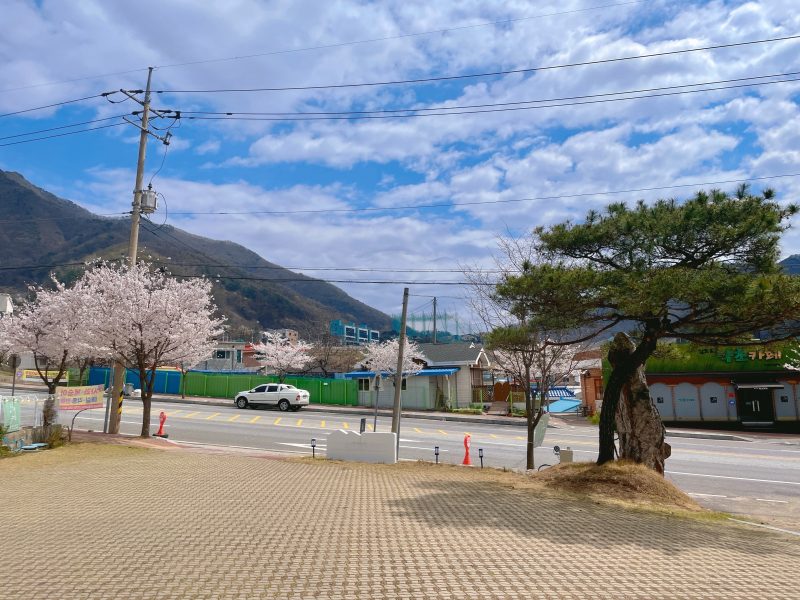 일반상가 (커피숍/레스토랑) 사진 8