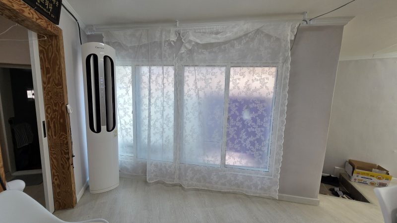 단독 사진 8