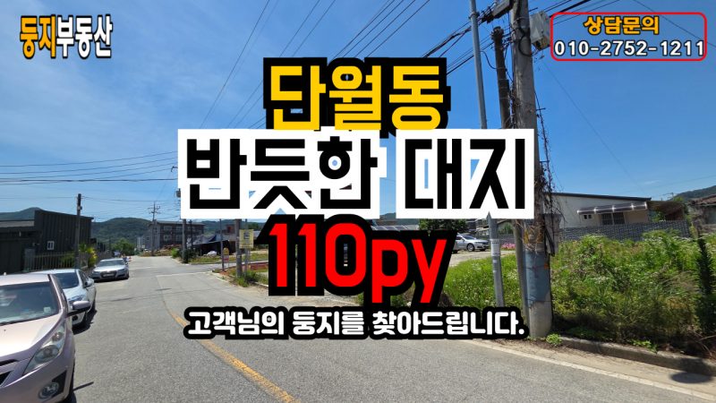 단월동 토지