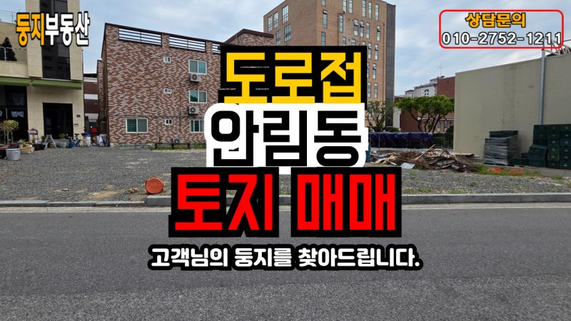 안림동 답