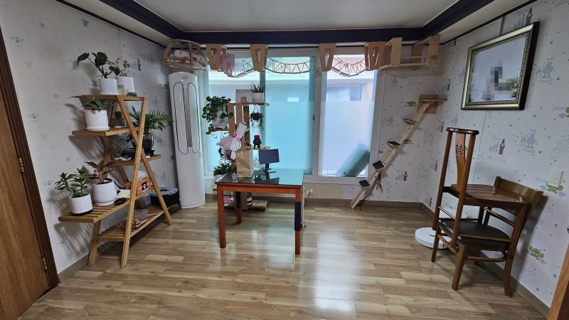 단독 사진 4
