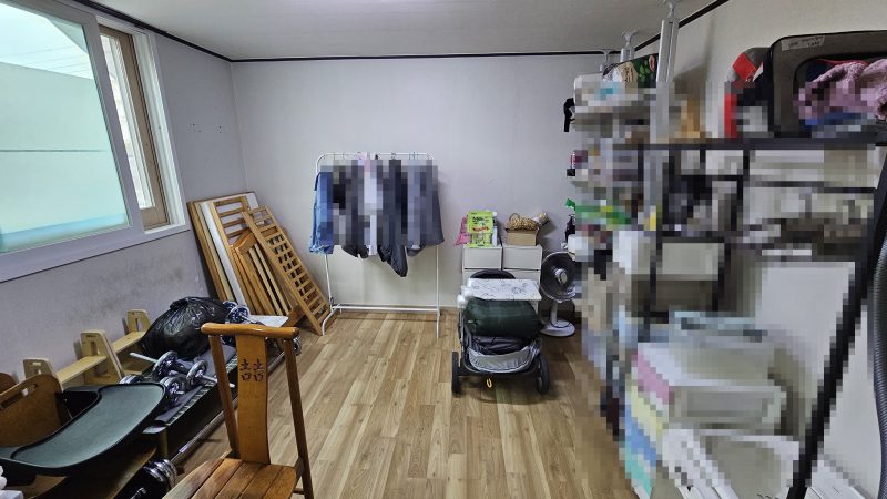 단독 사진 5