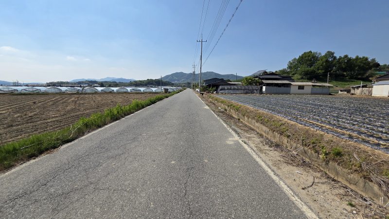 답 사진 4