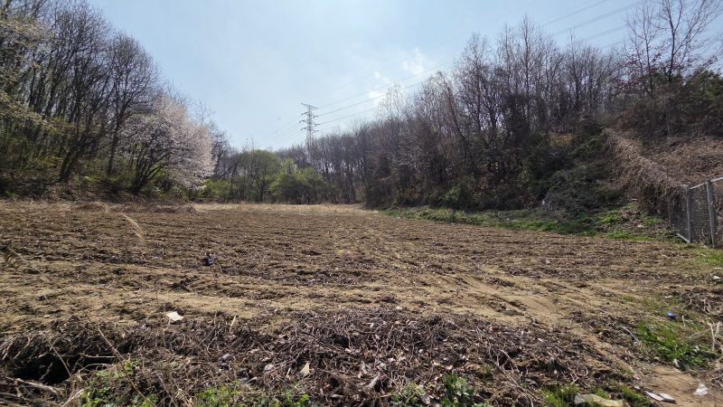 답 사진 3